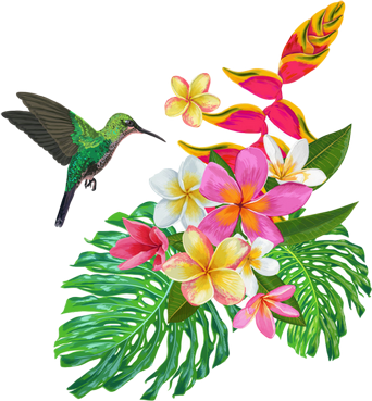 Colibrì PlumeriaShop